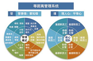 溫州企業管理咨詢 為何朗歐是您駐廠咨詢的卓越之選？